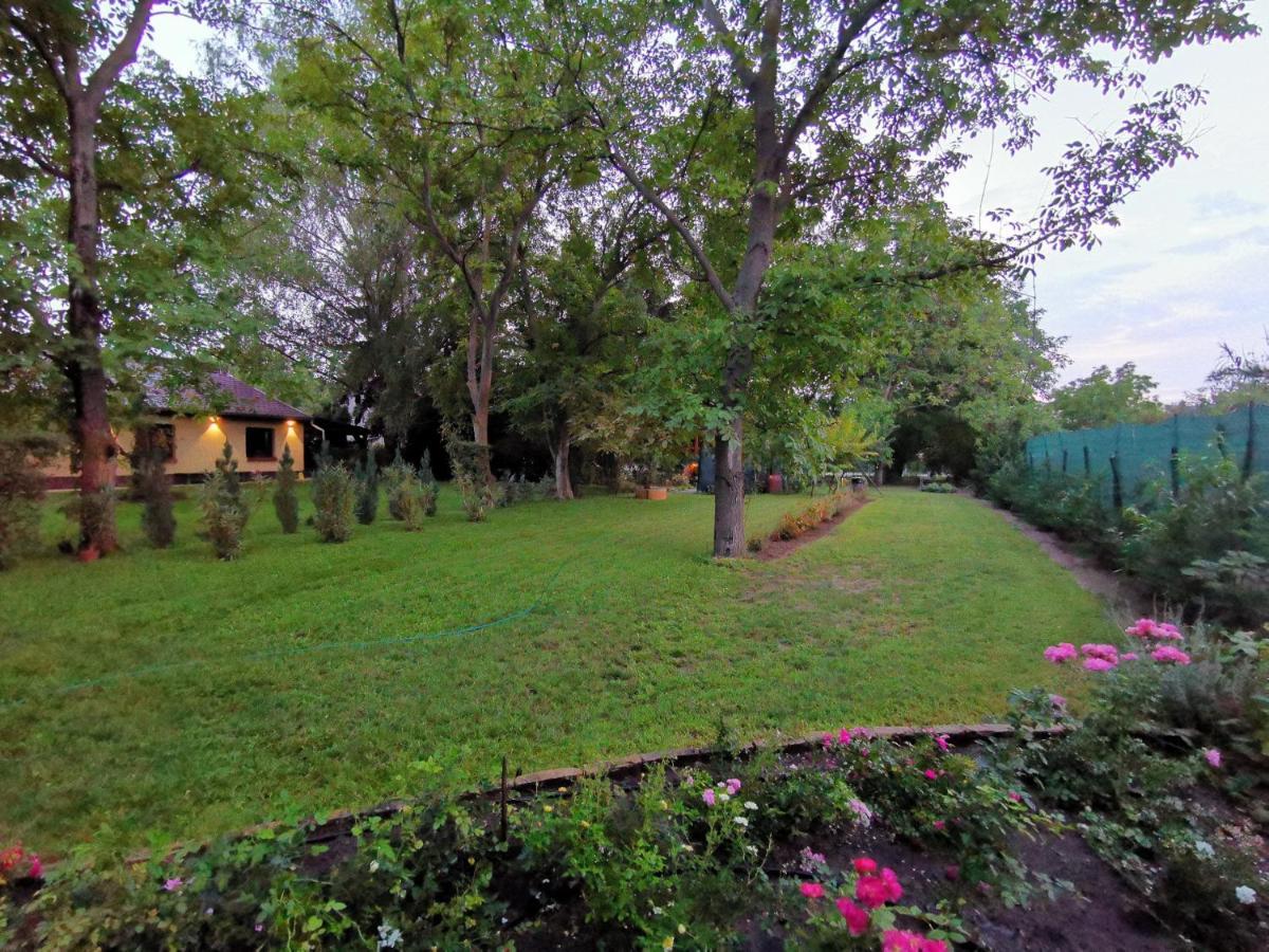 Szent Erzsebet Apartmanhaz Kecskemét Exterior photo