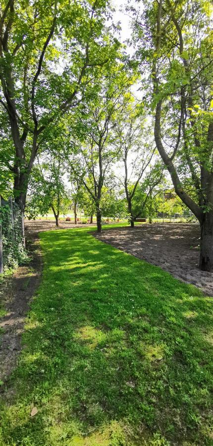 Szent Erzsebet Apartmanhaz Kecskemét Exterior photo